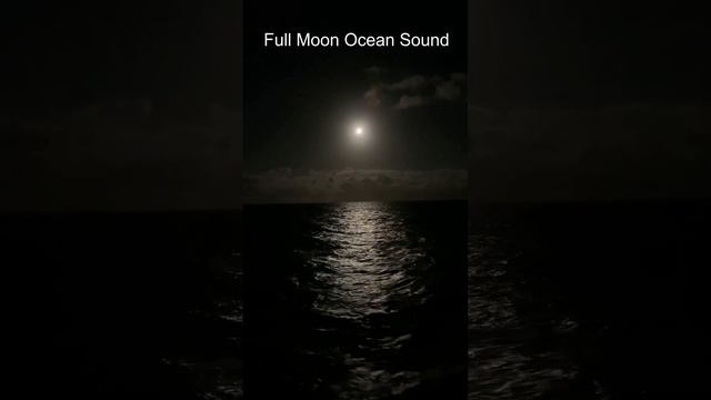 Falling asleep with ocean sounds under the moon, #naturesounds #oceanwaves #fallasleep