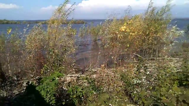 КОМСОМОЛЬСК НА АМУРЕ. АЧАН.ПОСЛЕ ПАВОДКА 2019.30.09. смотреть онлайн