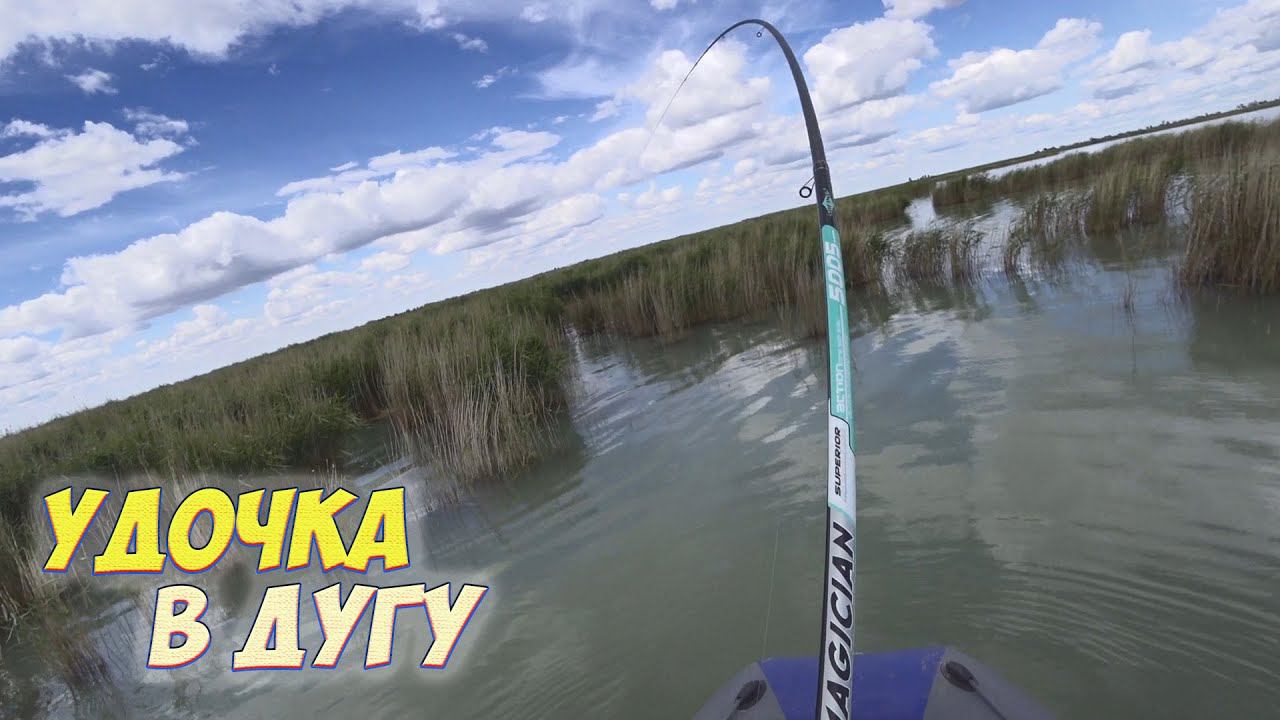 ТАКОГО САЗАНА НА ПОПЛАВОК Я ЕЩЕ НЕ ЛОВИЛ! ДУМАЛ ЧТО НЕ ВЫТАЩУ! НЕ ЗРЯ ЖДАЛ ПОЛДНЯ. смотреть онлайн