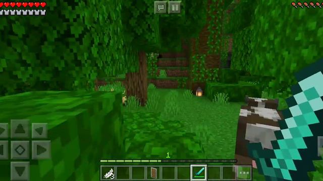 Таинственный лес 😱 #тамилститутка #майнкрафт #minecraft смотреть онлайн