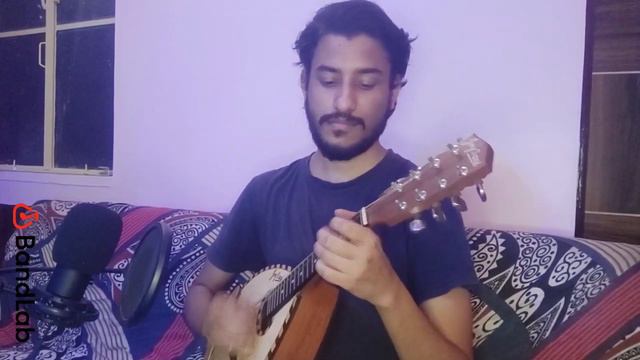 Hear the Magical Music of Mandolin in this "Chunnari Chunnari" Instrumental Cover! смотреть онлайн