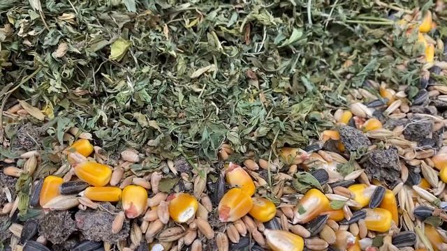 Комбикорм Дорожает//Корм для кур несушек//Корм для перепелов несушек//Состав самодельного корма.