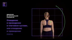 Оси и плоскости движения человека