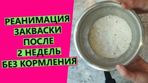 РЕАНИМАЦИЯ 🤷♀️пшеничной закваски после 2 недель БЕЗ кормления