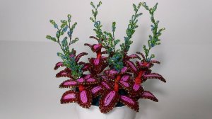 Бисероплетение. Мастер класс.  Цветы из бисера  2 часть.  Колеус ,, Аэлита,, Пошаговый МК.