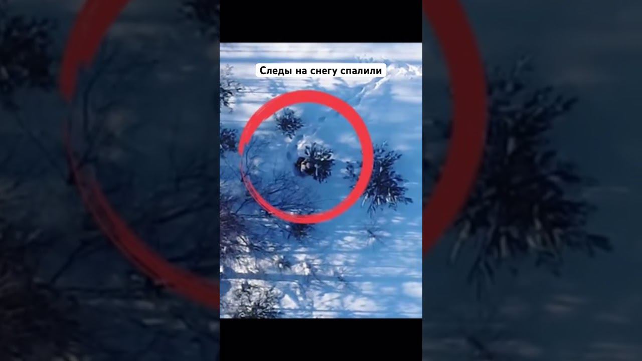 Маскировка #airsoft #fake #alpine смотреть онлайн