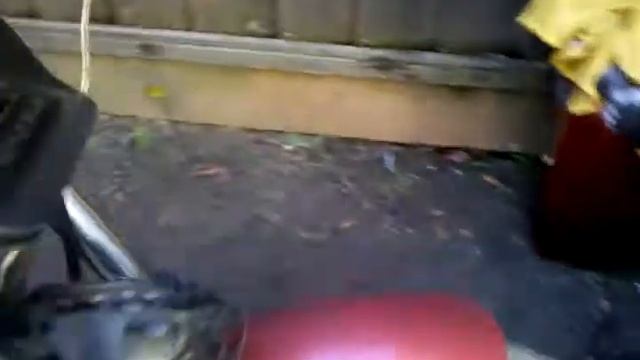 Honda. Ascot. 1983. Pintura. Engine смотреть онлайн