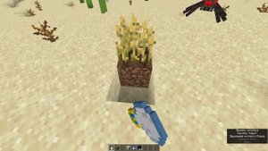 С ЭТИМ МОДОМ, МОЖНО ЛОВИТЬ ВРЕМЯ В БУТЫЛКУ! Time in a Bottle