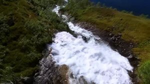 BEAUTIFUL MUSIC, NERVOUS SYSTEM RESTORATION 🌿Gentle Music Soothes The Nervous System And The Soul