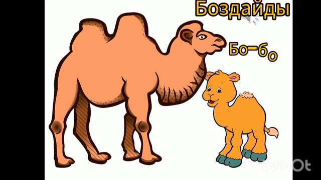 Үй жануарлары мен оның төлдері!