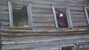 Деревня Пегрема. Август 2010. Pegrema. Onega.