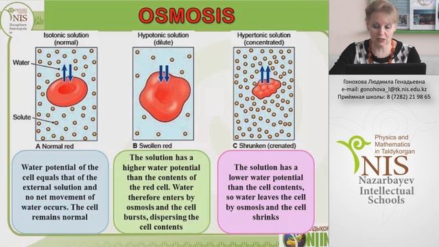 Гонохова Л.Г. - Клеточная биология. Клетки и осмос смотреть онлайн