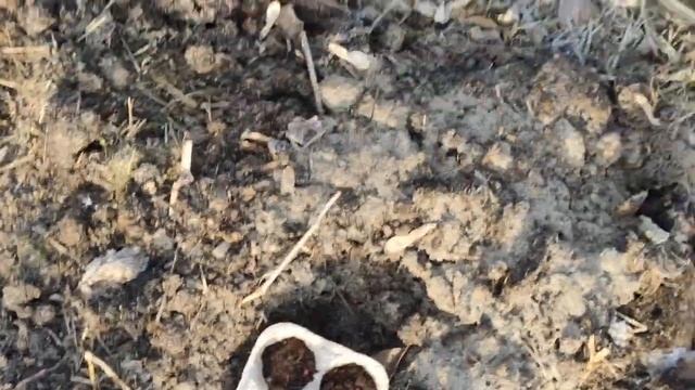 ПЕРВАЯ ЗИМАВ ДЕРЕВНЕ. ИТОГИ смотреть онлайн