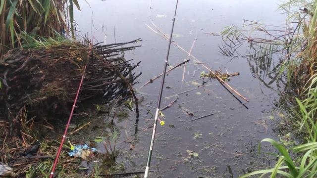 Рыбалка в Харькове. Речка Уды рядом с Птичьим рынком. смотреть онлайн