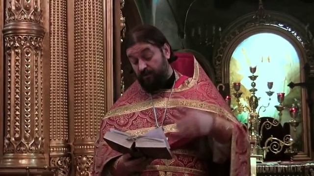 Мы не овцы Божьи, а ослы смотреть онлайн