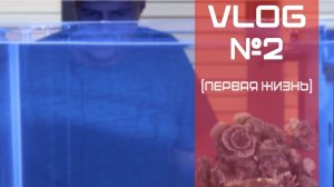 VLOG 2 (первая жизнь)