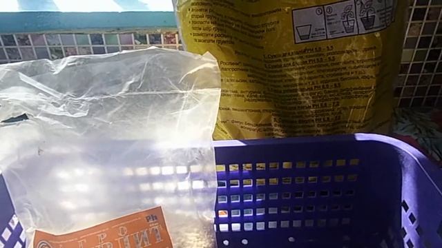 Астра/ Посев семян на рассаду смотреть онлайн