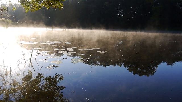 Битюг сплав Верхняя Тишанка - Коршево 10-11.09.2016 смотреть онлайн