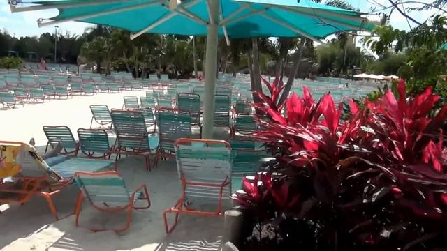 ЗИМОЙ в АКВАПАРКЕ Дельфины Спариваются Tour Aquatica Orlando 03.03.2012 смотреть онлайн