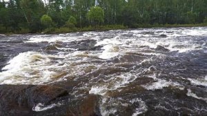 порог Прямой. Пороги реки Салокачи. Амурская область, Архаринский район.