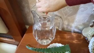 Сок АЛОЭ-это мощный биостимулятор роста цветов,особенно хорош для их востановления.