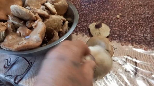 Собираем грибы и встречаем зиму смотреть онлайн