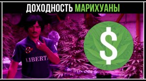 GTA 5 Online: Доходность Гидропонного Цеха