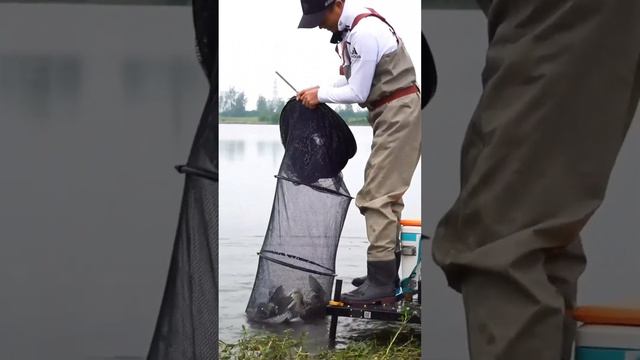 【鄧剛釣魚】挑戰瓜圻湖，大魚連竿魚情好，釣上來失手給跑了！【天元邓刚】
