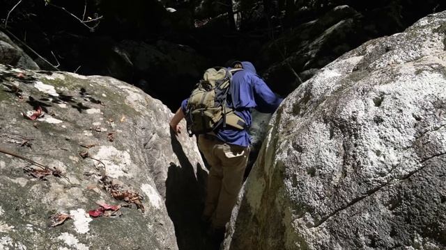 Discovering a Hidden Rainforest in an Ancient Volcano Crater смотреть онлайн