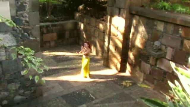 !Dance in the Shady Garden смотреть онлайн