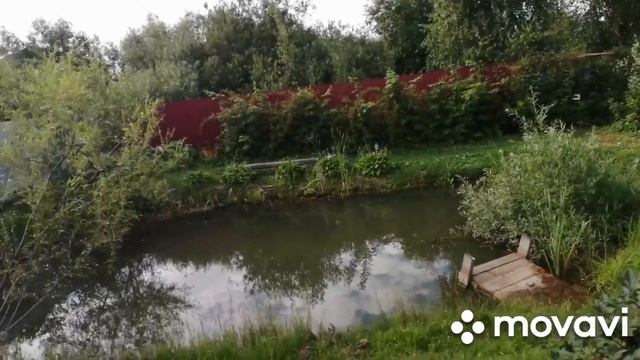 Новая лавочка у пруда. Субботний день на даче. 08.07.2023 смотреть онлайн