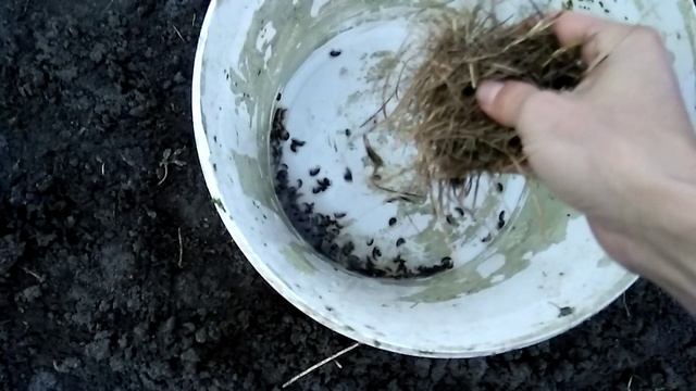 Ловля мормыша