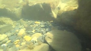 Удивительные тайны Черного Моря