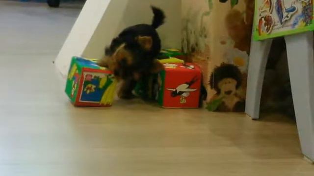 Моя Белочка! ;))) смотреть онлайн