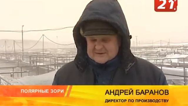 черная икра смотреть онлайн