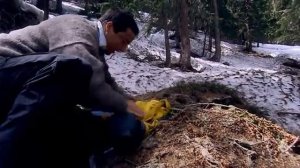 Европейские Альпы - Беар Гриллс (European Alps) | 1 сезон 8 серия