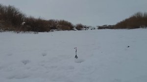 Рыбалка с ДИНАМИТОМ.