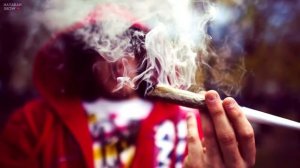 ЧТО БУДЕТ ЕСЛИ КУРИТЬ БУМАГУ