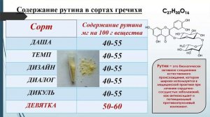 Мастер класс