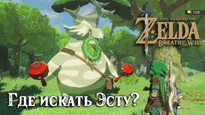 Эсту все локации. The Legend of Zelda Breath of the Wild. Hestu Locations