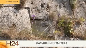 Казаки и поморы