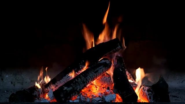 Голоса живой природы. Треск дров в ночи. Звук костра. Успокаивающий вид огня. Fireplace. Relax