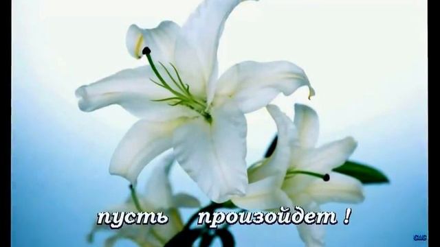 Моим друзьям тепла ! Любви и радости ! Спасибо Вам мои дорогиe ! смотреть онлайн