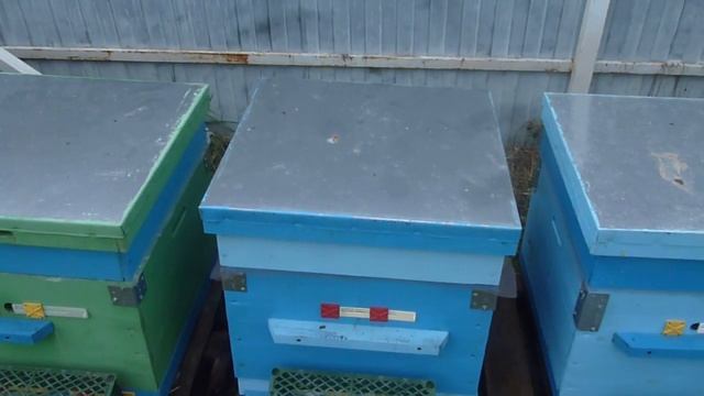 Утепление Пчёл Зимой смотреть онлайн