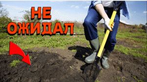 Не Ожидал, КОПАЯ ОГОРОД на ДАЧЕ, СЛУЧАЙНО НАТКНУЛСЯ на ЭТИ НАХОДКИ! В Поисках Клада от Влада!