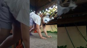 тутор на прыжок для новичков квадробика 🌳☕