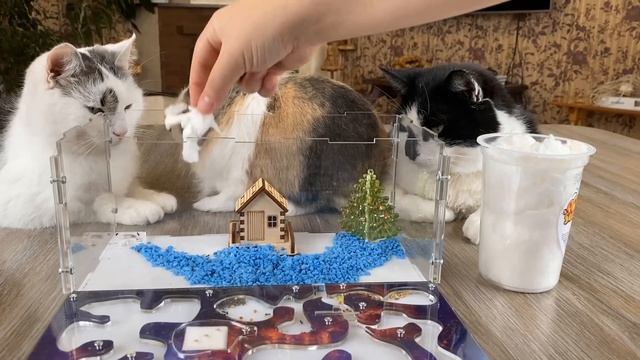РЕАКЦИЯ МУРАВЬЕВ на СЛАДКУЮ ВАТУ! КОТ МАЛЫШ и ИДЕАЛЬНЫЙ ПОДАРОК НА НОВЫЙ ГОД
