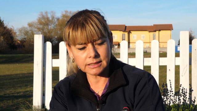 Sfaturi pentru întreținerea plantei Erica gracilis смотреть онлайн