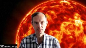 Залетела птичка на лоджию, к чему это? Приметы и реальность.