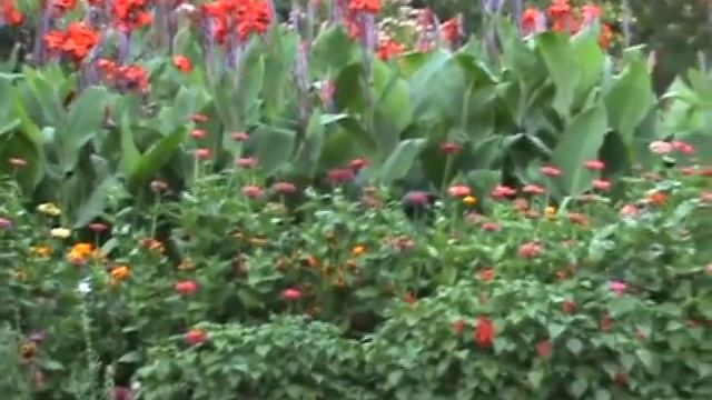 мама и цветы смотреть онлайн